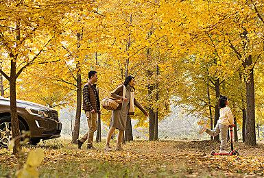 《夜莺传说》新版本更新添加离线模式 未来将支持Steam Deck